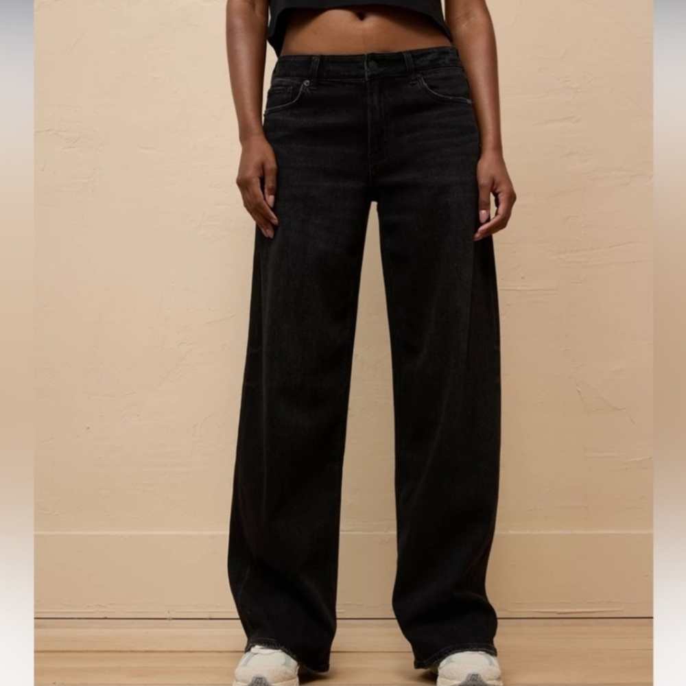 American Eagle Low Rise Wide Leg Jeans